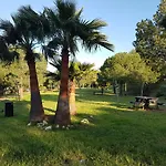 Jabeque * Estepona