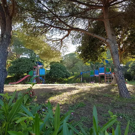 Jabeque *