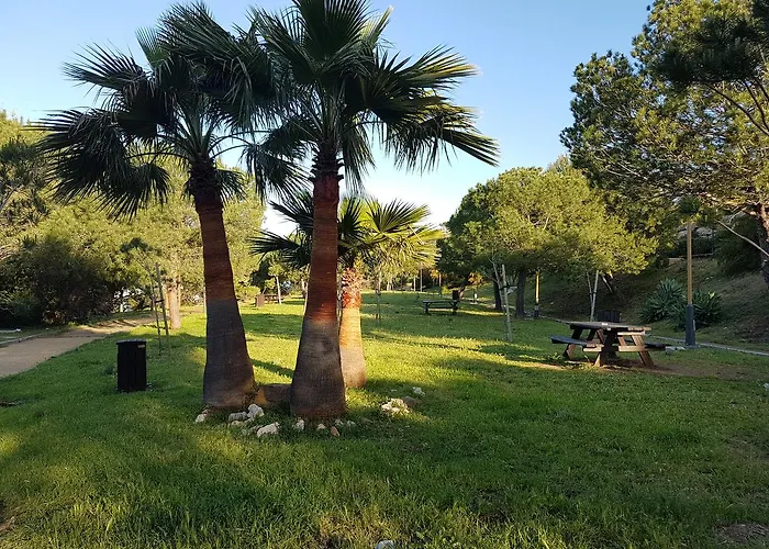 Jabeque * エステポナ